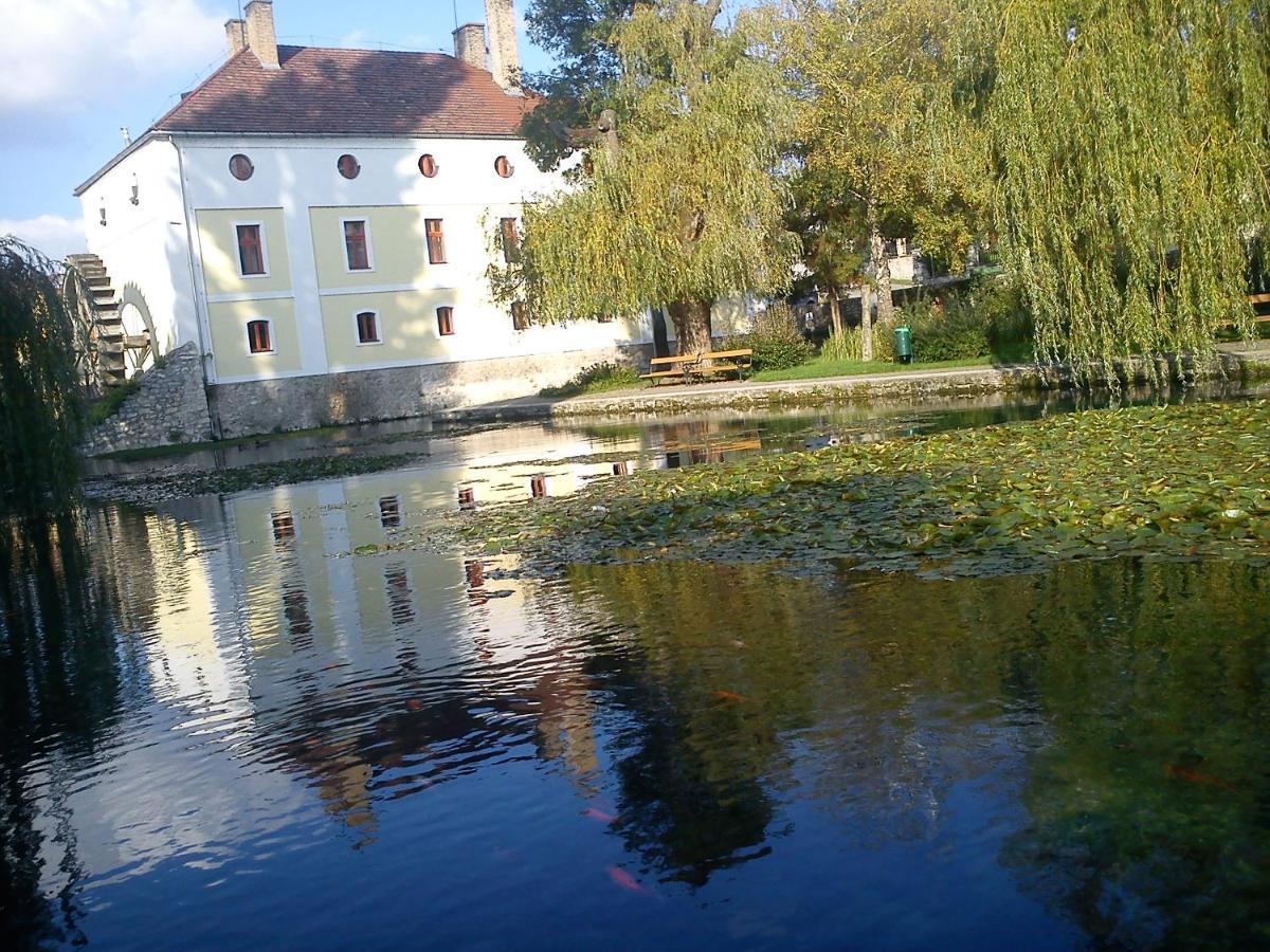 Villa Elisa Вонярцвашгедь Екстер'єр фото