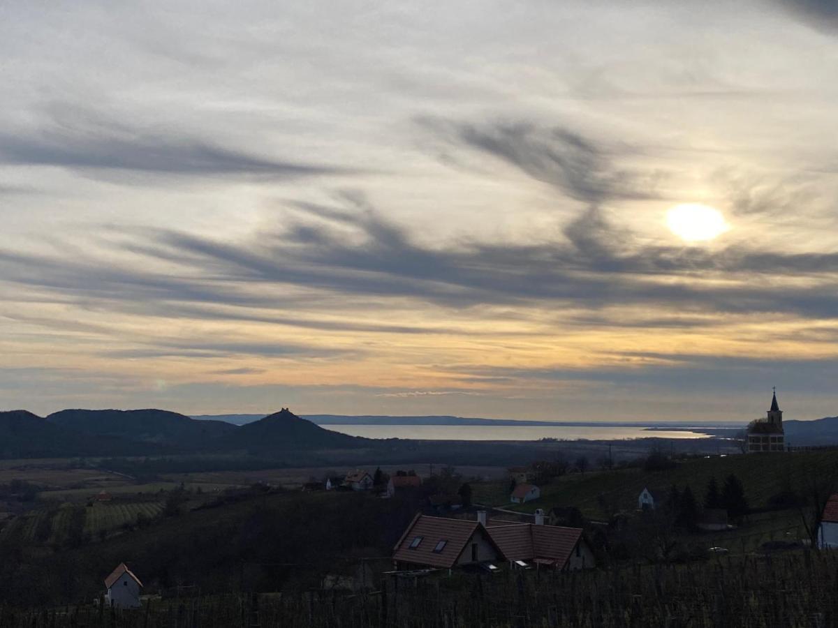 Villa Elisa Вонярцвашгедь Екстер'єр фото