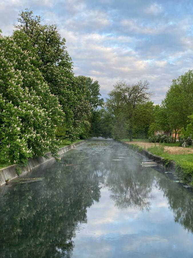 Villa Elisa Вонярцвашгедь Екстер'єр фото